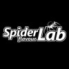 SPIDER LAB