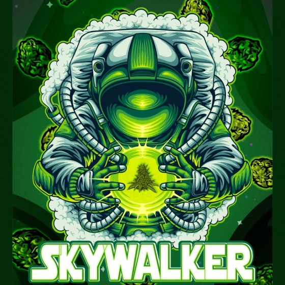 Skywalker - DV CBD