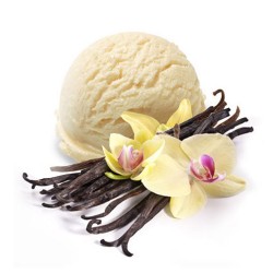 Vanillepudding - ZAZO Vanillepudding - ZAZO
