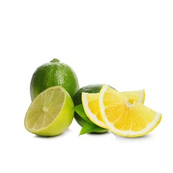 Zitrone-Limette - ZAZO Zitrone-Limette - ZAZO