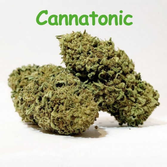 CBD Blüten Cannatonic - Dr Green CBD Blüten Cannatonic - Dr Green