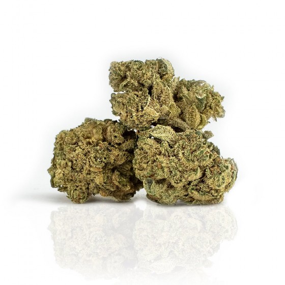 CBD Weed Fruity Pebbles - Woelkchen CBD Weed Fruity Pebbles - Woelkchen