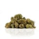 CBD Weed Gorilla Glue - Woelkchen CBD Weed Gorilla Glue - Woelkchen