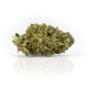 CBD Weed Haze - Woelkchen CBD Weed Haze - Woelkchen