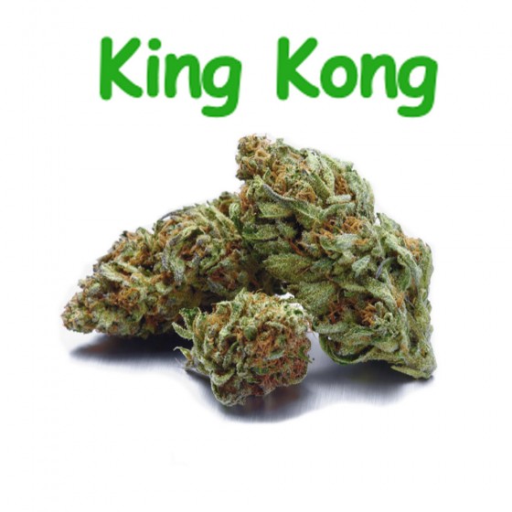 CBD Blüten King Kong - Dr Green CBD Blüten King Kong - Dr Green
