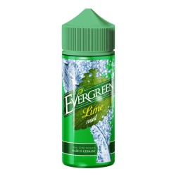 Lime Mint - Evergreen Lime Mint - Evergreen