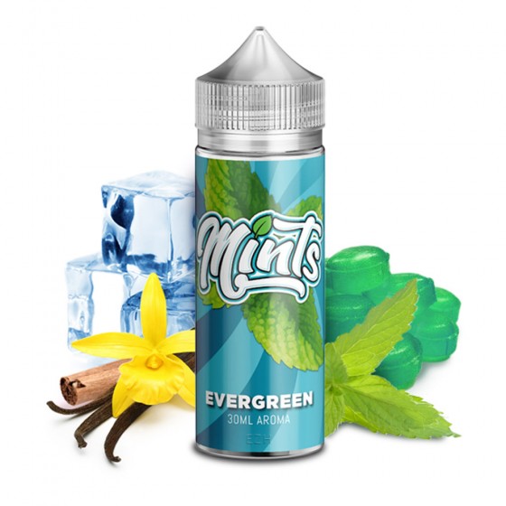 Evergreen - Mints Evergreen - Mints