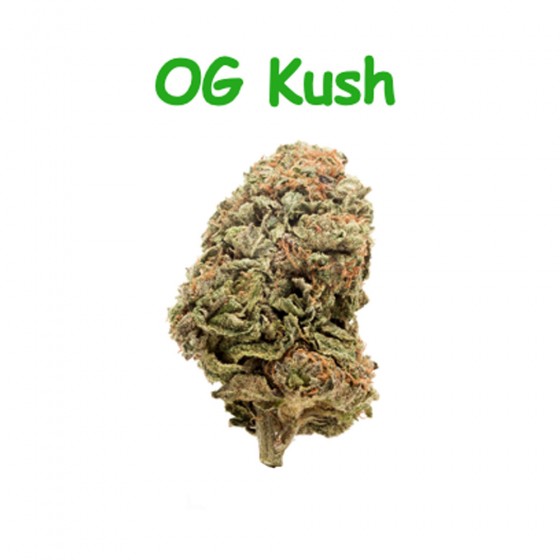 CBD Blüten OG Kush - Dr Green CBD Blüten OG Kush - Dr Green