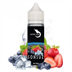 Sonsuz - Hayvan Juice Sonsuz - Hayvan Juice