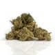 CBD Weed Vanilla Kush - Woelkchen CBD Weed Vanilla Kush - Woelkchen