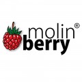 MOLIN BERRY FLAVORS