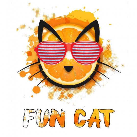 Fun Cat - Copy Cat Fun Cat - Copy Cat