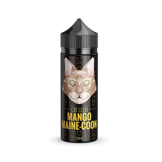 Mango Maine-Coon - Cat Club Mango Maine-Coon - Cat Club