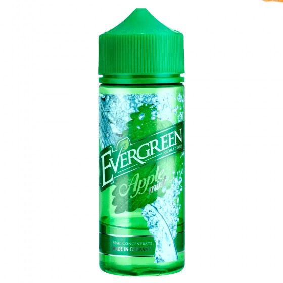Apple Mint - Evergreen