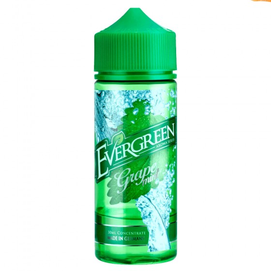 Grape Mint - Evergreen