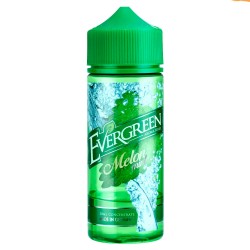 Melon Mint - Evergreen Melon Mint - Evergreen