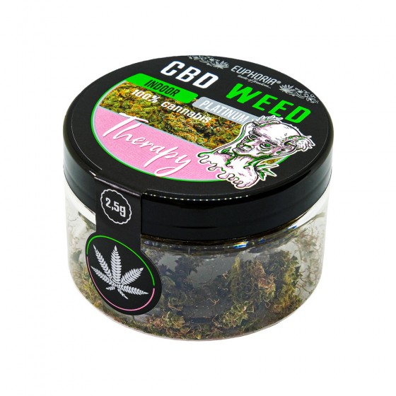 CBD Weed Indoor (Therapy) - Euphoria CBD Weed Indoor (Therapy) - Euphoria